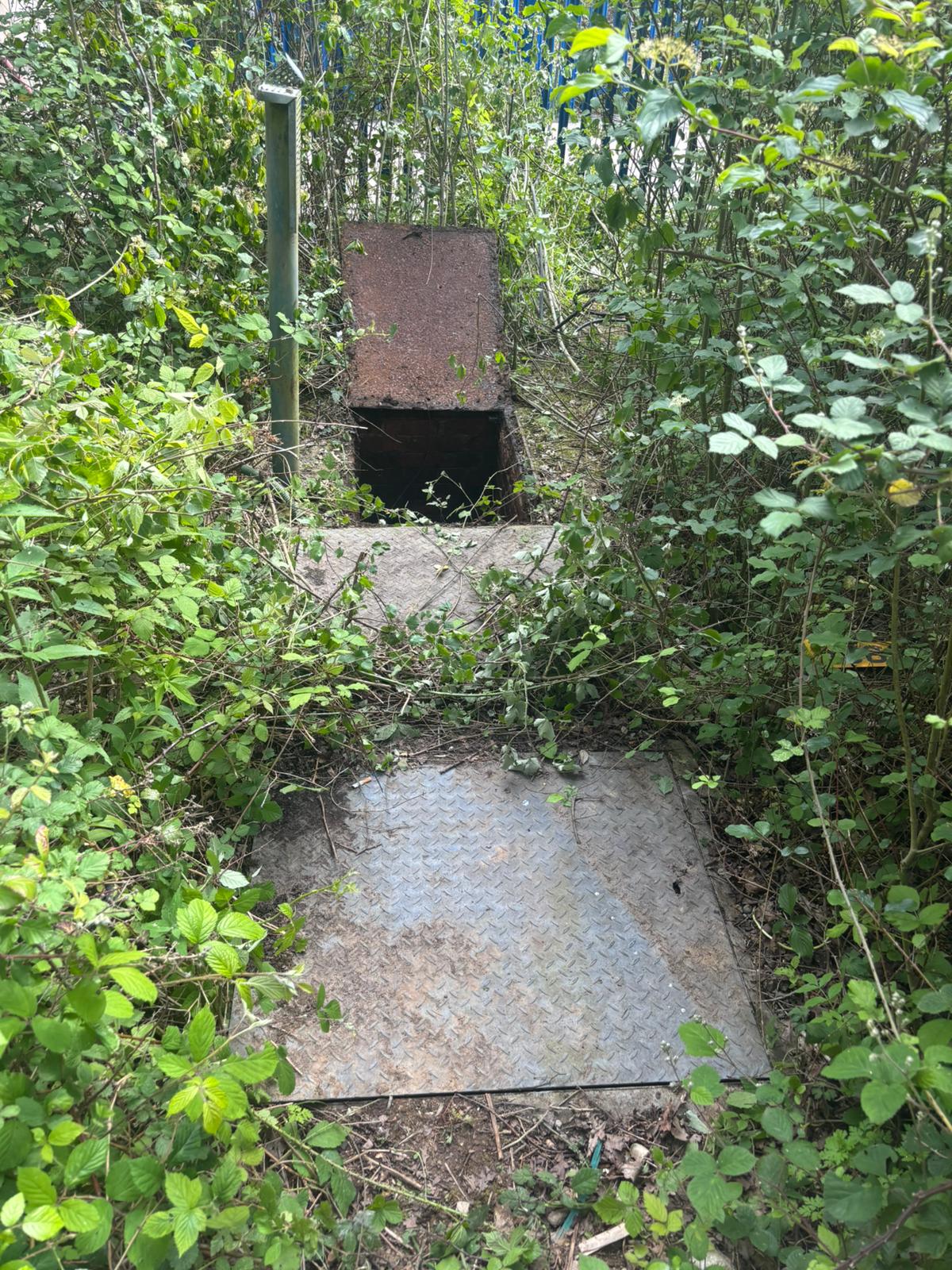 WhatsApp Image 2025 02 03 at 21.25.23